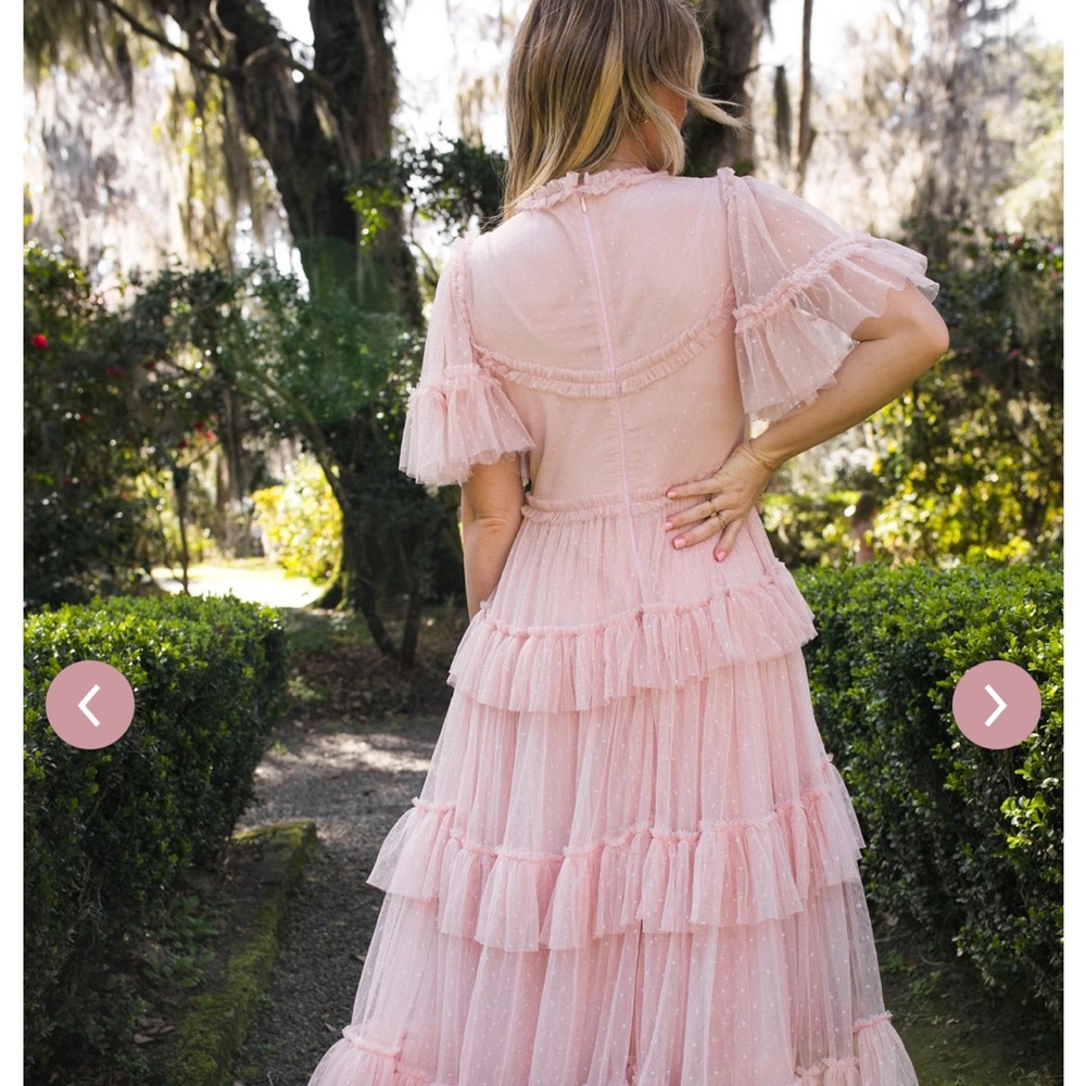 Beautiful NEW with tags Whimsical dress in blush